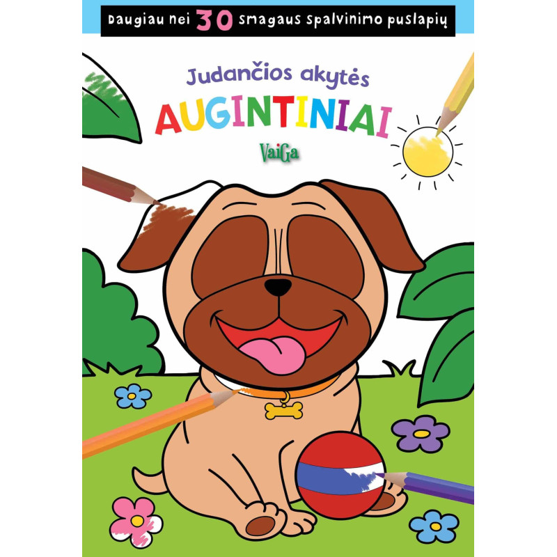 Judančios akytės. Džiunglės