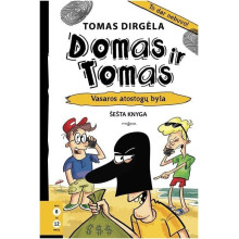 Domas ir Tomas. Vasaros atostogų byla