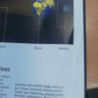 Visata (Žvaigždžių sistemos. Planetos. Galaktikos)