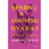 Sparnų ir griuvėsių dvaras. Trečia knyga