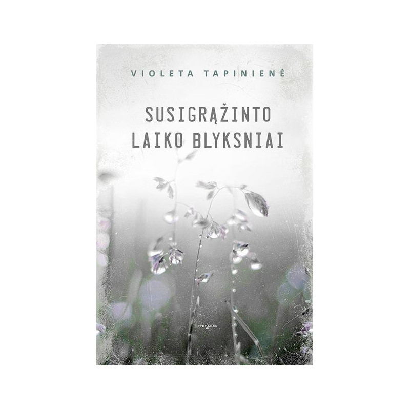 Susigrąžinto laiko blyksniai