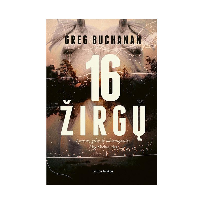 16 žirgų