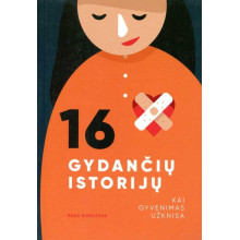 16 gydančių istorijų. Kai gyvenimas užknisa