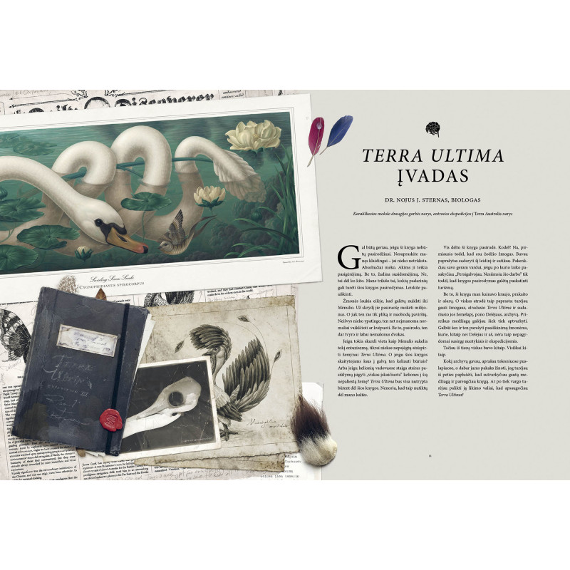 Terra Ultima. Nežinomo žemyno atradimas