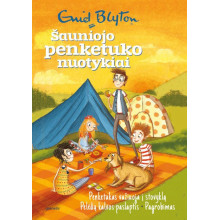 Penketukas važiuoja į stovyklą. Pelėdų kalvos paslaptis. Pagrobimas