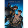 Žudanti šviesa