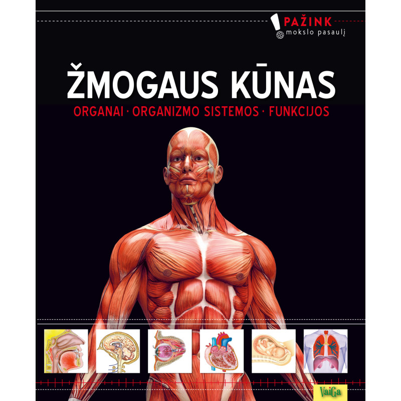 Žmogaus kūnas (Organai. Organizmo sistemos. Funkcijos)