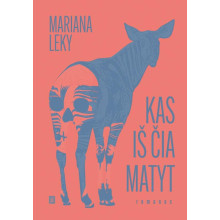 Kas iš čia matyt
