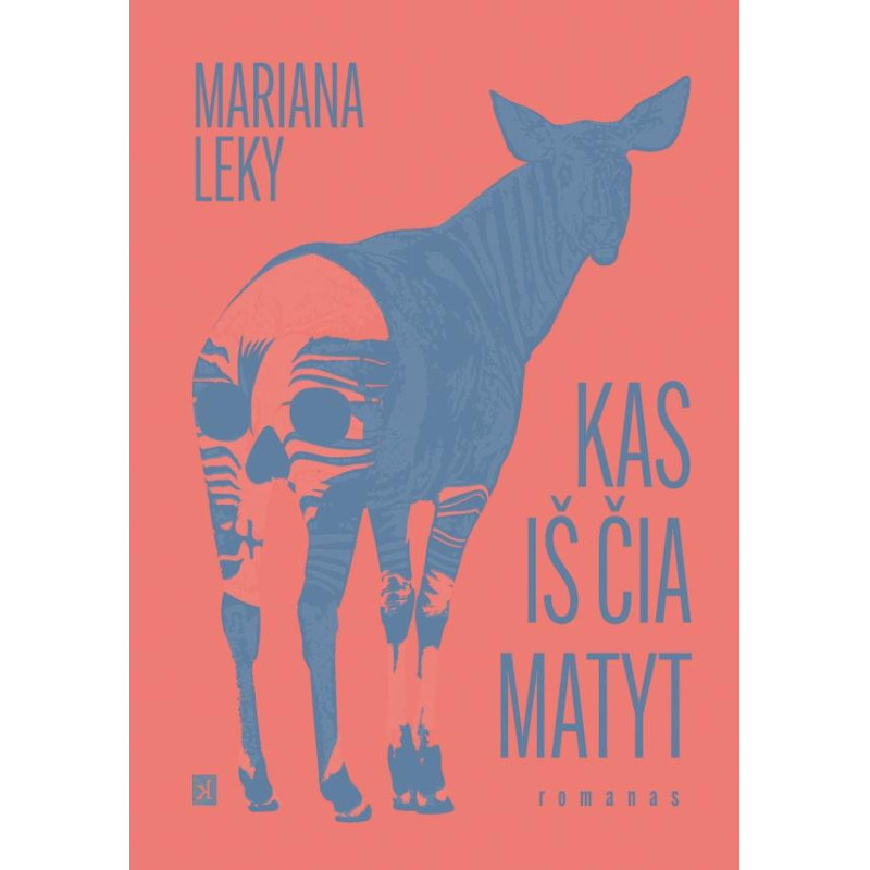 Kas iš čia matyt