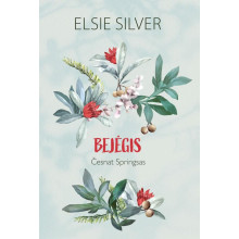 Bejėgis
