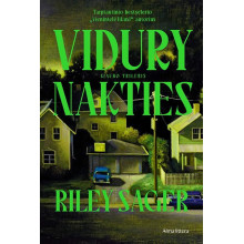 Vidury nakties