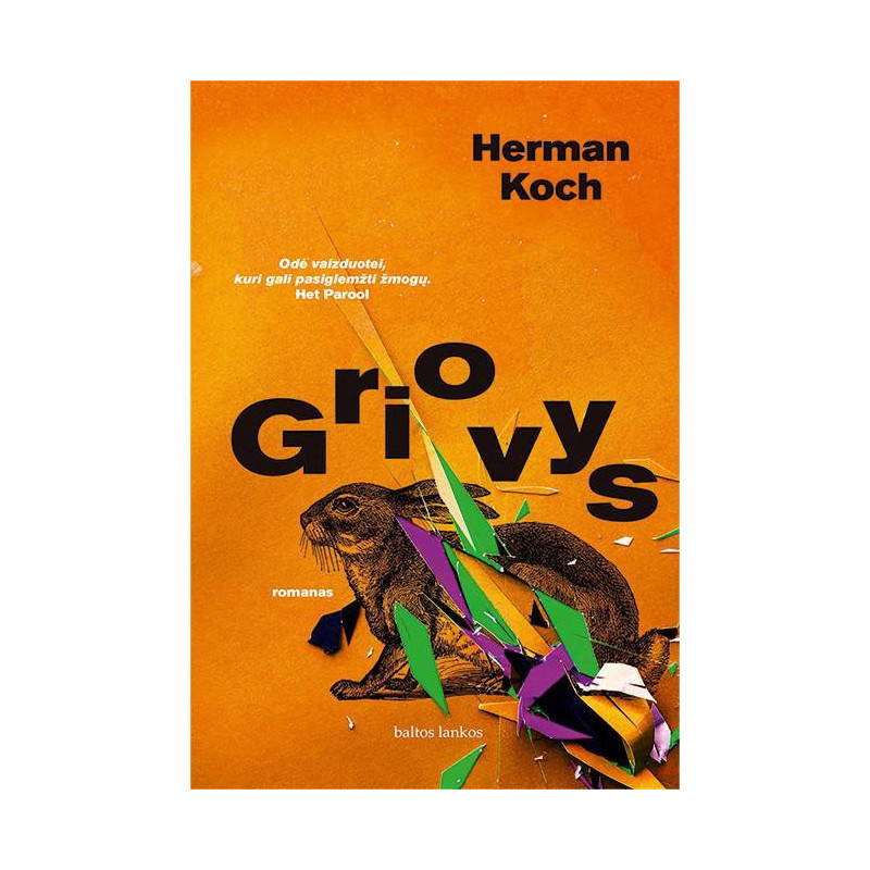 Griovys