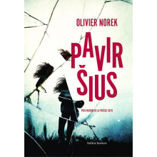 Paviršius