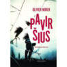 Paviršius