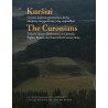 Kuršiai = The Curonians. Genties kultūra: gyvensenos, kovų, tikėjimų, tarpgentinių ryšių atspindžiai