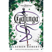 Galinga. Serijos „Bejėgė“ papildoma knyga
