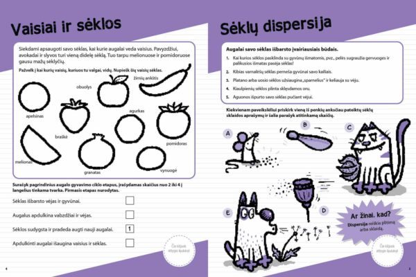 Gamtos mokslų pagrindai. Namų darbai – vieni juokai - Image 2
