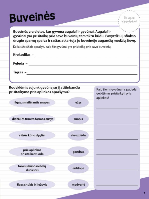 Gamtos mokslų pagrindai. Namų darbai – vieni juokai - Image 4