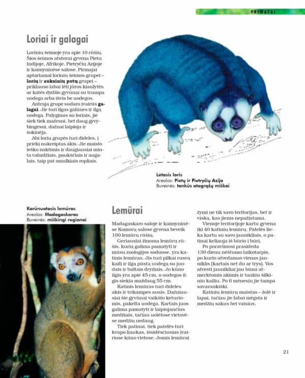 Žinduoliai. Gyvūnų enciklopedija - Image 4