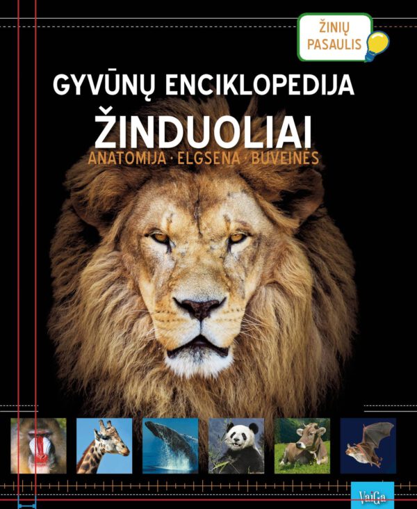 Žinduoliai. Gyvūnų enciklopedija