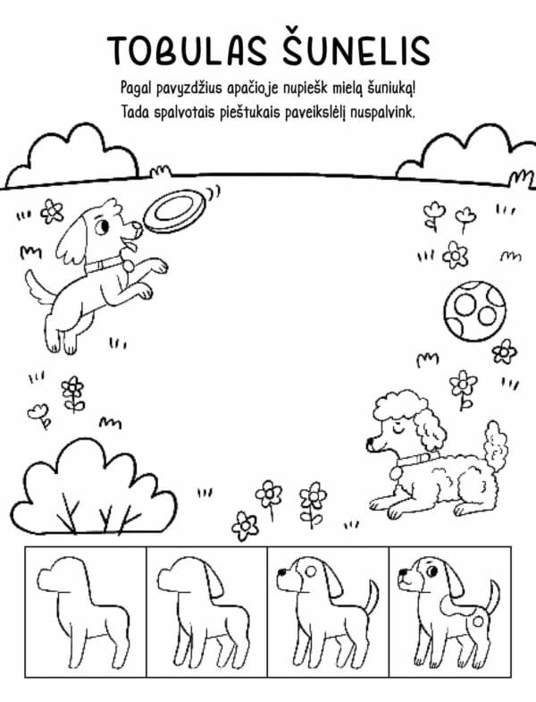 Nuostabūs gyvūnai. Atverk langelį - Image 5