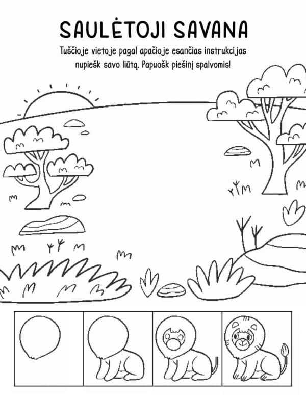 Nuostabūs gyvūnai. Atverk langelį - Image 6