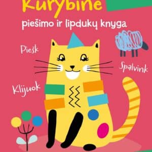 Kūrybinė piešimo ir lipdukų knyga. Katinas