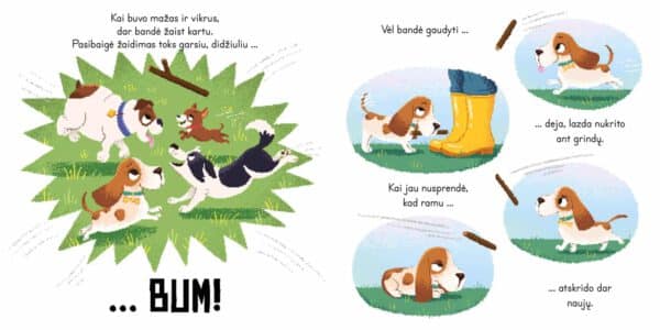 Rikas - kitoks šuo - Image 3