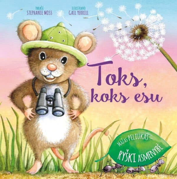Toks, koks esu