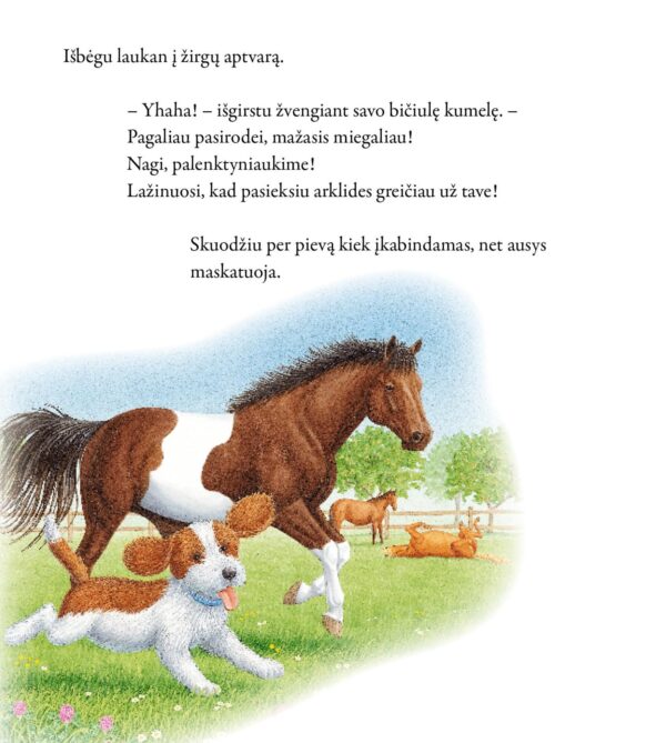 Mažasis šuniukas ir kitos istorijos - Image 3