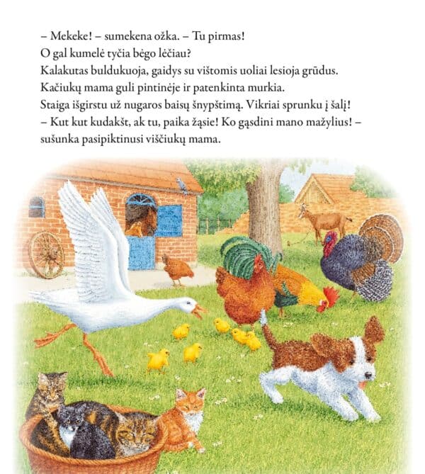 Mažasis šuniukas ir kitos istorijos - Image 4