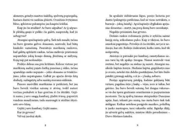 Knyga-Frankensteino-efektas-paagliams
