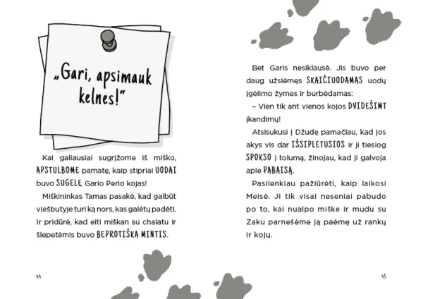 Knyga-Pabaisa-ir-dinge-uzkandziai