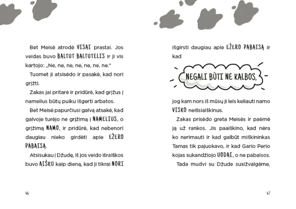 Knyga-Pabaisa-ir-dinge-uzkandziai
