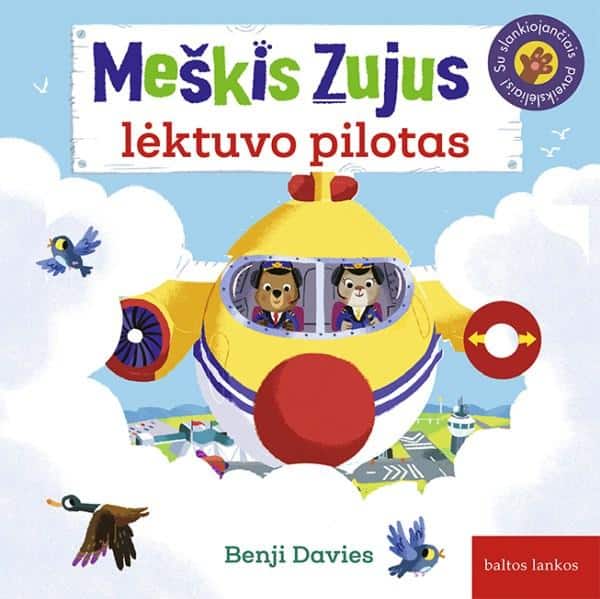 meskis-zujus-lektuvo-pilotas.