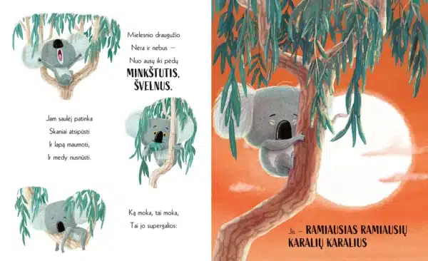 Koala, kuri išdrįso - Image 3