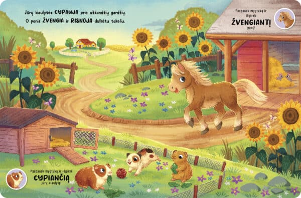 Kačiukai, šuniukai ir kiti mieli augintiniai - Image 3
