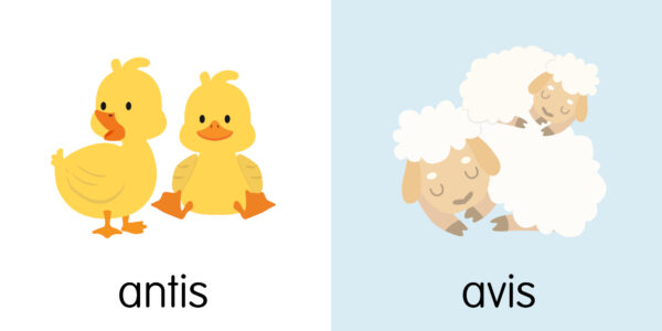 Pirmieji kūdikio gyvūnai - Image 4