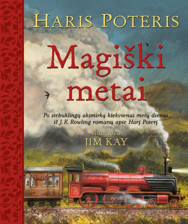 haris-poteris-magiski-metai