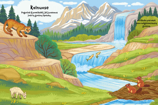 Gyvūnai. Klijuok lipdukus - Image 3