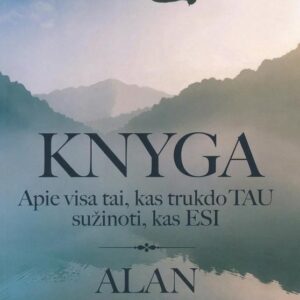 knyga-apie-visa-tai-kas-trukdo-tau