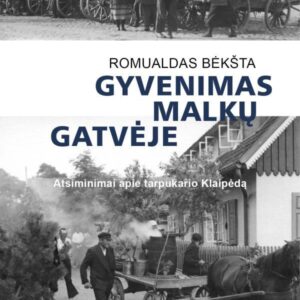 gyvenimas-malku-gatveje