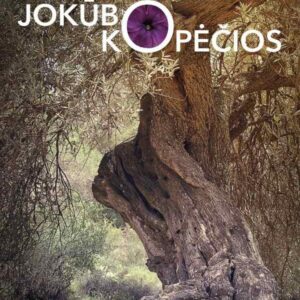 Jokūbo kopėčios