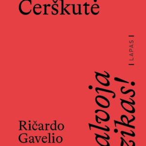 galvoja-fizikas-ricardo-gavelio-prozos-sistema.