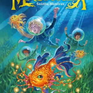 magicallia-2-eseliu-meistras