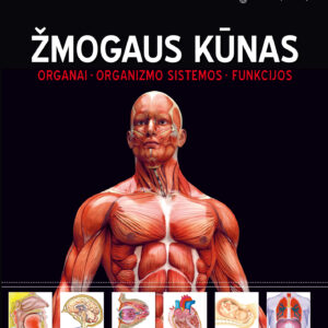 Žmogaus kūnas (Organai. Organizmo sistemos. Funkcijos)