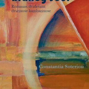 Brandy Sour. Romanas dvidešimt dviejuose kambariuose