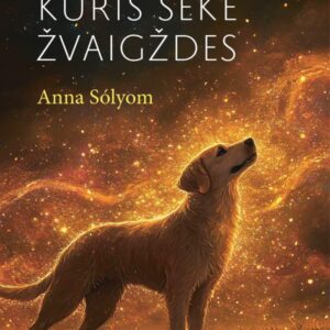 Šuo, kuris sekė žvaigždes