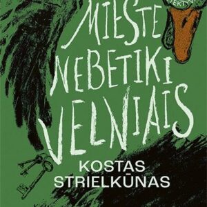 Mieste nebetiki velniais