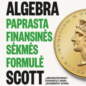 Turto algebra. Paprasta finansinės sėkmės formulė